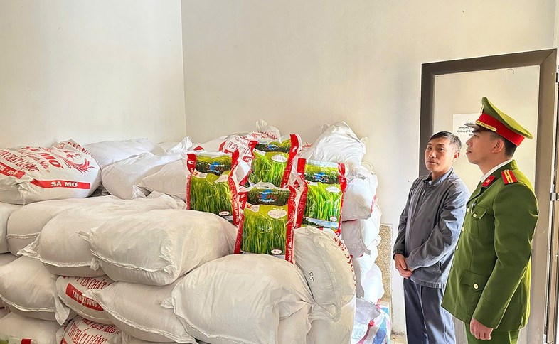 Triệt phá đường dây sản xuất gạo giả tại Hà Tĩnh - ảnh 1