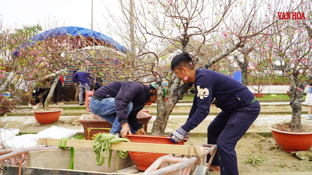 Mưu sinh mùa Tết - ảnh 10