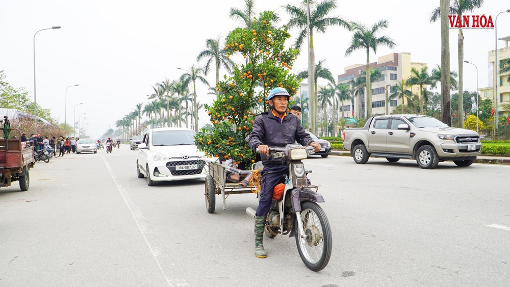 Mưu sinh mùa Tết - ảnh 8