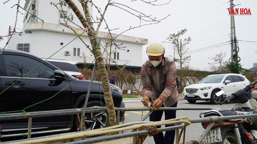 Mưu sinh mùa Tết - ảnh 6