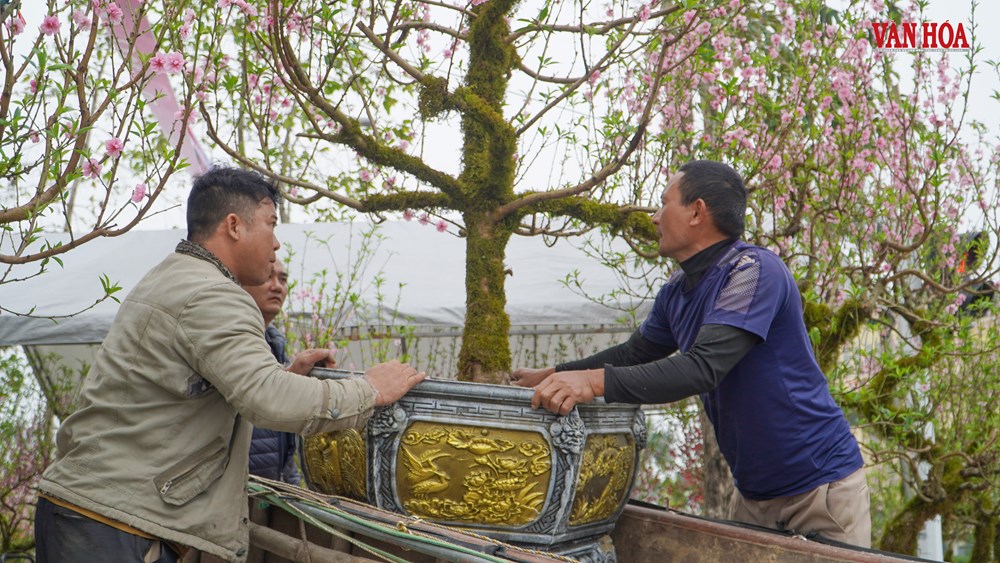 Mưu sinh mùa Tết - ảnh 5