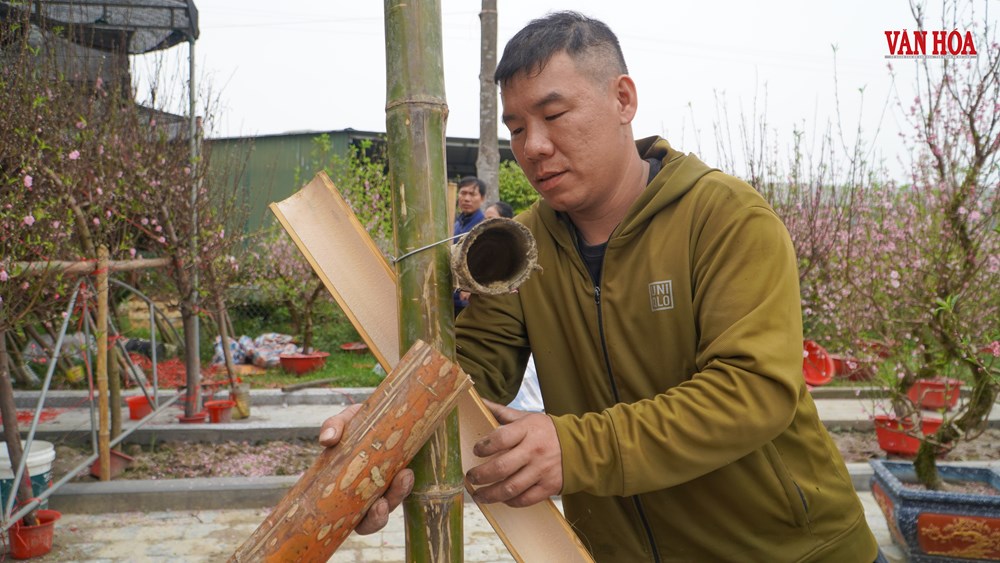 Mưu sinh mùa Tết - ảnh 7