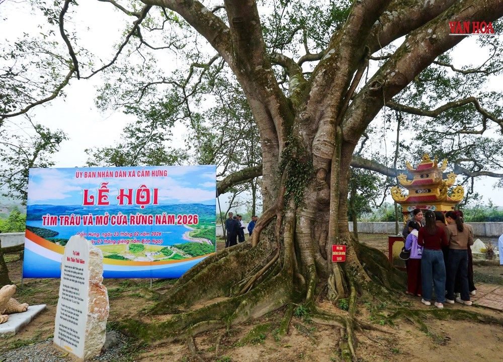 Độc lạ lễ hội Tìm trâu và mở cửa rừng ở Hà Tĩnh - ảnh 1