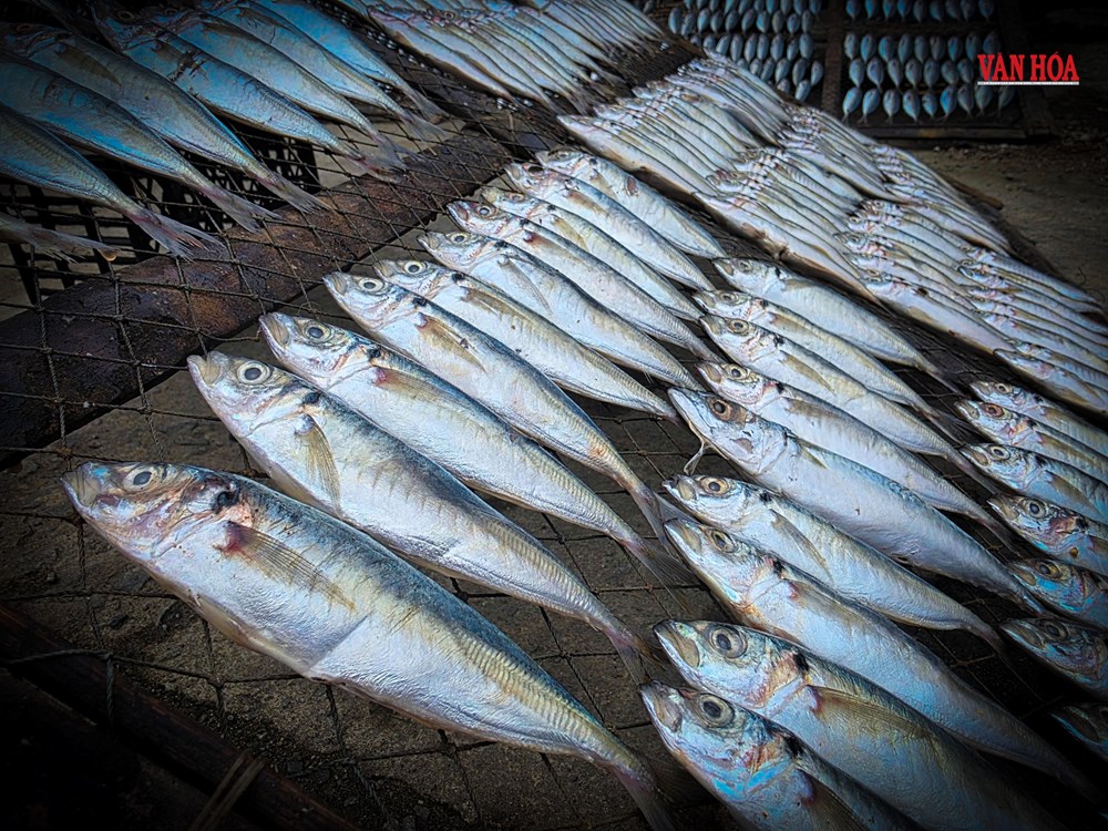 Những người phụ nữ giữ hồn đặc sản cá nướng vùng biển Hà Tĩnh - ảnh 1