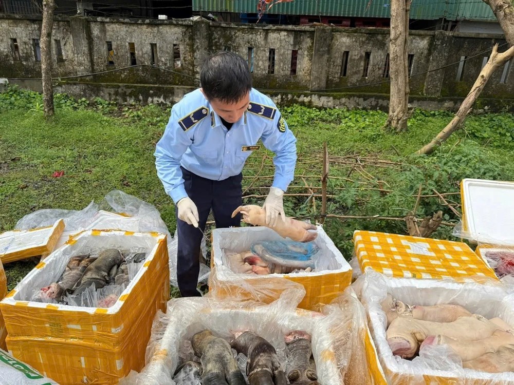 Hà Tĩnh: Tiêu hủy hơn 2,6 tấn nội tạng không rõ nguồn gốc - ảnh 2
