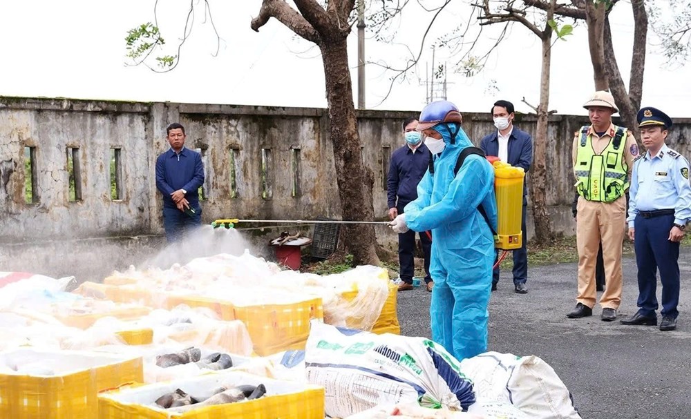 Hà Tĩnh: Tiêu hủy hơn 2,6 tấn nội tạng không rõ nguồn gốc - ảnh 1