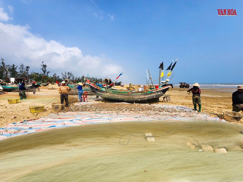 Cá trích dày đặc như “trải thảm”, ngư dân Hà Tĩnh trúng đậm chưa từng thấy - ảnh 1
