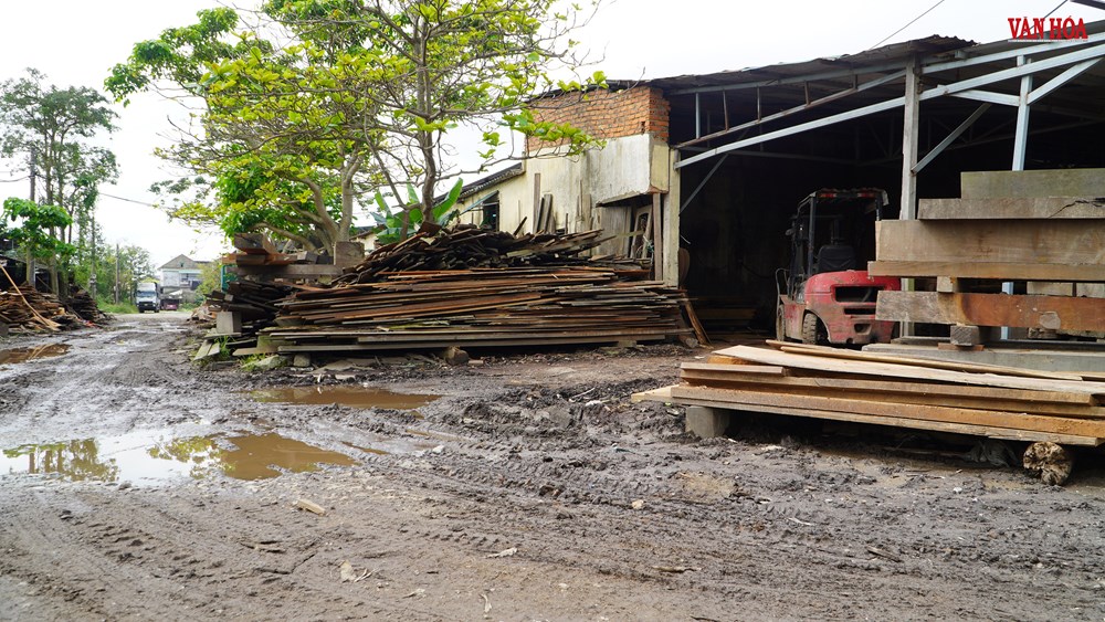 Kỳ 3: Lỗ hổng chính sách hay sự chậm trễ trách nhiệm? - ảnh 4