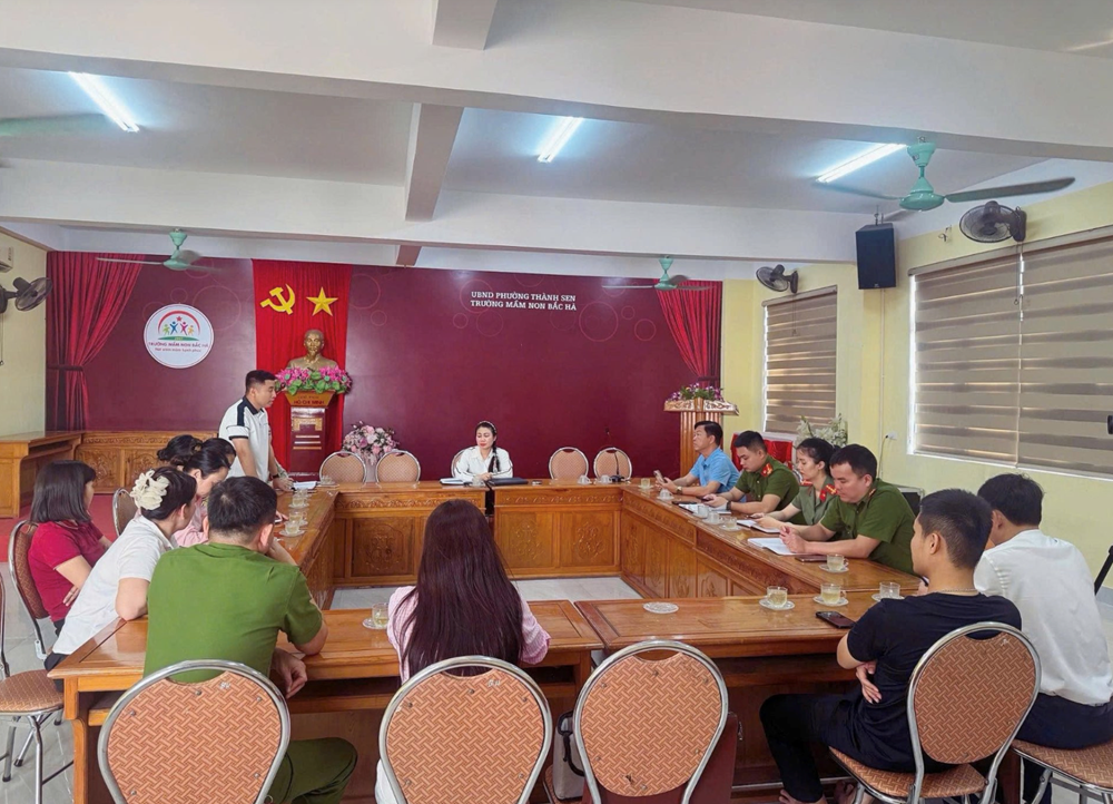 Xác minh clip bé bị “tác động” vào đầu: Chưa có dấu hiệu bạo hành - ảnh 1