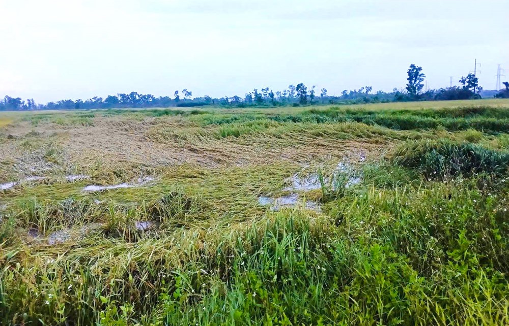 Mưa đá, dông lốc tốc mái nhiều nhà tại Hà Tĩnh - ảnh 4