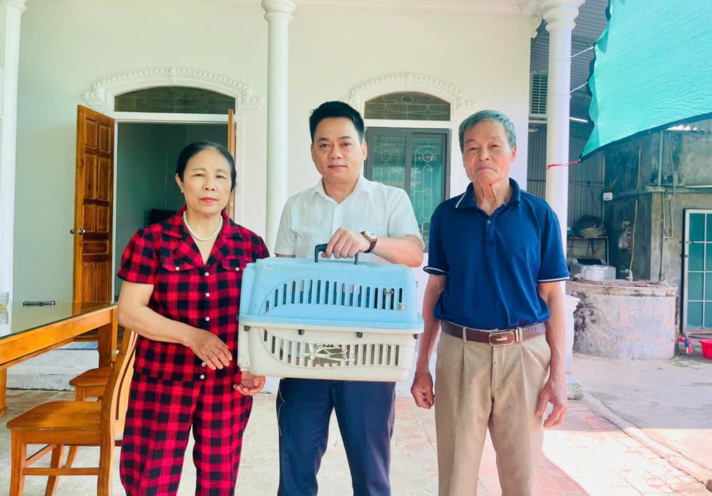 3 cá thể cu li quý hiếm lạc vào nhà dân - ảnh 1