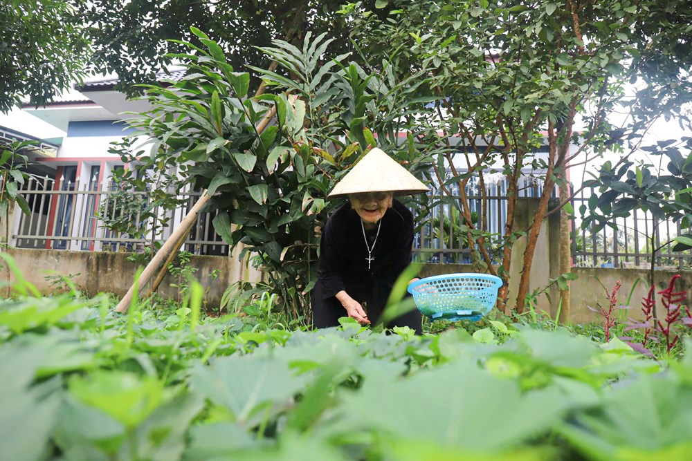 Cụ bà gần 100 tuổi và bí quyết sống khỏe mỗi ngày - ảnh 7