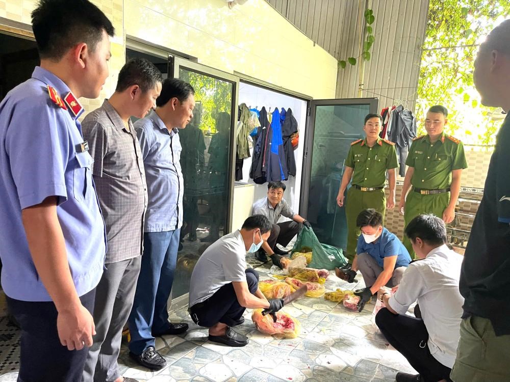 Bắt người đàn ông mua lợn dịch, cấp đông rồi bán ra thị trường - ảnh 2