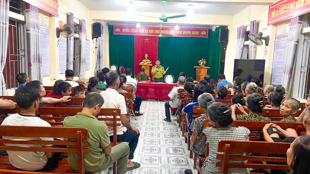Hà Tĩnh căng mình giữ rừng giữa nắng nóng kỷ lục - ảnh 3