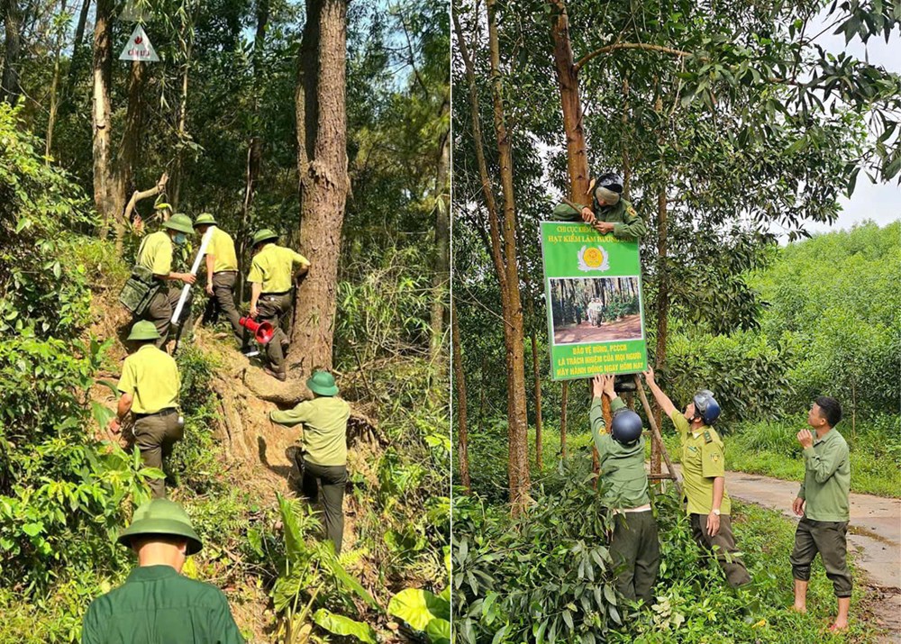 Hà Tĩnh căng mình giữ rừng giữa nắng nóng kỷ lục - ảnh 2