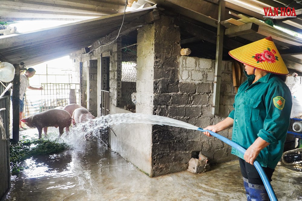 Ngàn Trươi mang nước tưới, người dân gánh ngập định kì - ảnh 1
