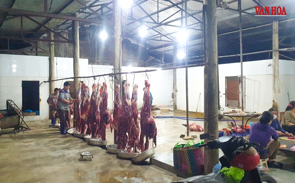 Sau sáp nhập, 37 cán bộ kiểm soát giết mổ Hà Tĩnh 6 tháng không lương - ảnh 3