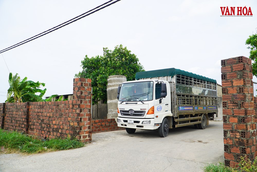 27 cơ sở giết mổ ở Hà Tĩnh không đủ điều kiện an toàn thực phẩm - ảnh 1