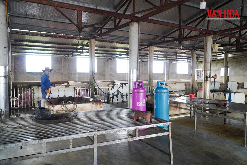 Đề xuất bố trí 1,2 tỉ đồng cho kiểm soát giết mổ ở Hà Tĩnh - ảnh 3