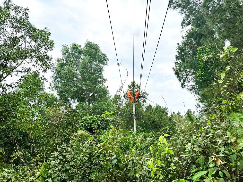Hà Tĩnh chủ động giữ vững dòng điện dịp Quốc khánh và khai giảng năm học mới - ảnh 1