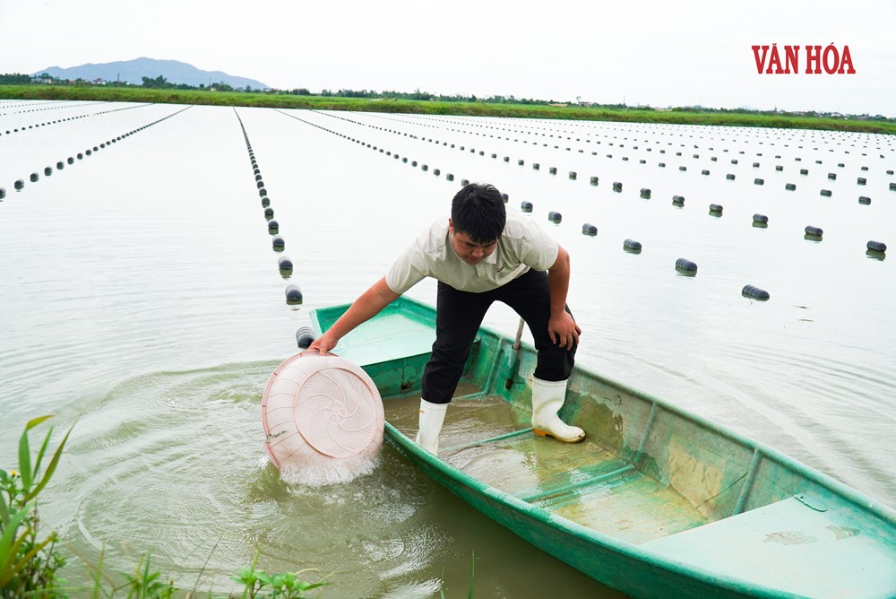Đánh thức giá trị vùng hồ, đập trũng bằng nghề nuôi trai lấy ngọc - ảnh 1