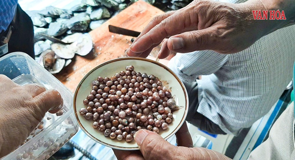 Đánh thức giá trị vùng hồ, đập trũng bằng nghề nuôi trai lấy ngọc - ảnh 5