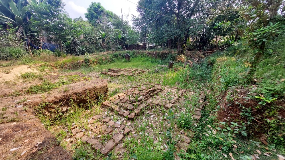 Hội thảo Bảo tồn, phát huy các di sản văn hóa gắn với phát triển kinh tế, xã hội - ảnh 2