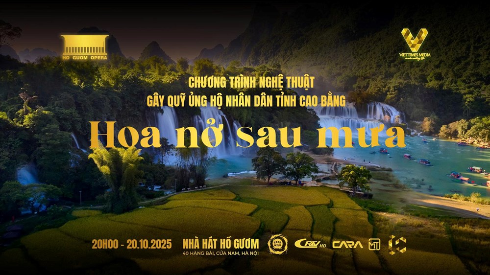 Chuỗi chương trình nghệ thuật gây quỹ ủng hộ đồng bào vùng thiên tai - ảnh 1
