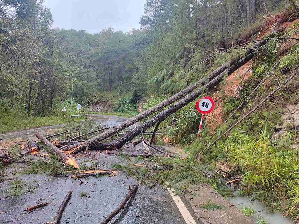 Giao thông Đà Lạt ảnh hưởng nghiêm trọng do hàng loạt điểm sạt lở sau mưa lớn - ảnh 2