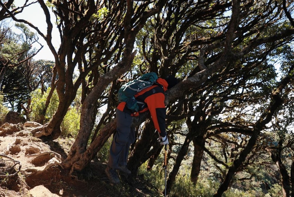 Ngắm nhìn vẻ đẹp của “nàng thơ Tây Bắc” Ky Quan San  - ảnh 15