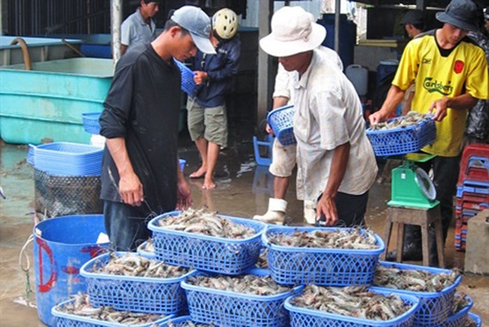 Nhiều hàng hóa tăng giá sớm trước Tết - ảnh 2