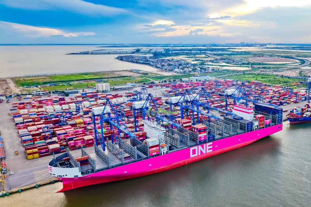 Giảm tối thiểu 10% giá dịch vụ hoa tiêu hàng hải với tàu thuyền Việt Nam - ảnh 1