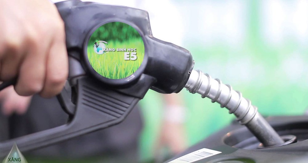 Xăng E5, E10: Hiểu đúng để sử dụng an toàn, tiết kiệm - ảnh 1