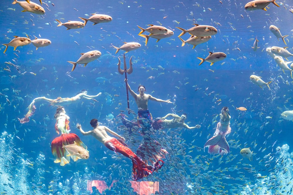 Bắc đảo Phú Quốc mùa đẹp nhất năm đánh thức mọi giác quan du khách - ảnh 7