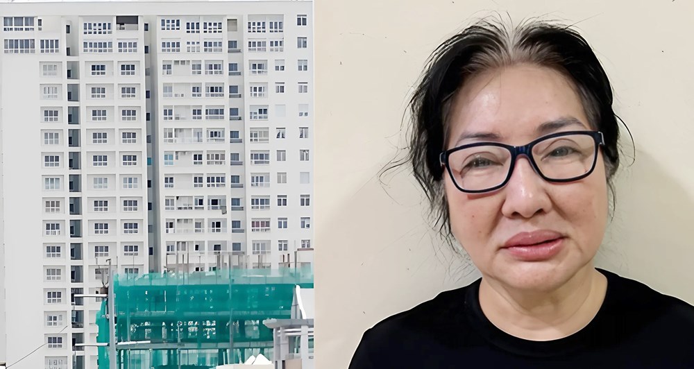 Bà Nguyễn Thị Như Loan được ghi nhận nhiều tình tiết giảm nhẹ - ảnh 1