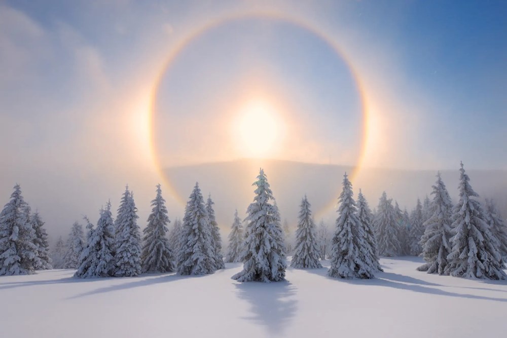 Bác Hồ thăm Nhà máy điện Yên Phụ và Nhà máy đèn Bờ Hồ - ảnh 2