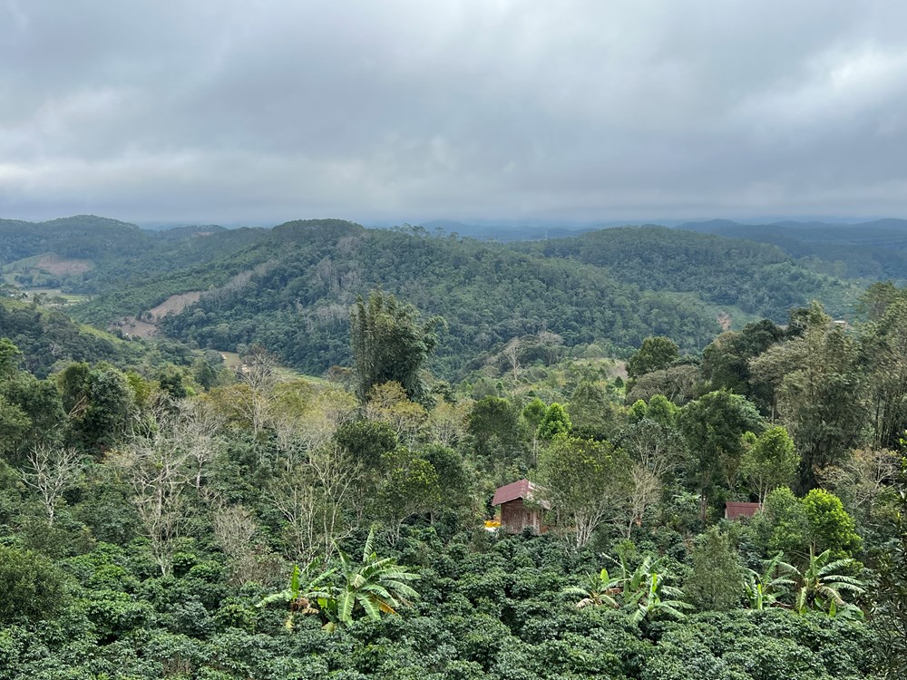 Chợ đêm Măng Đen - điểm nhấn du lịch đầu năm mới - ảnh 9