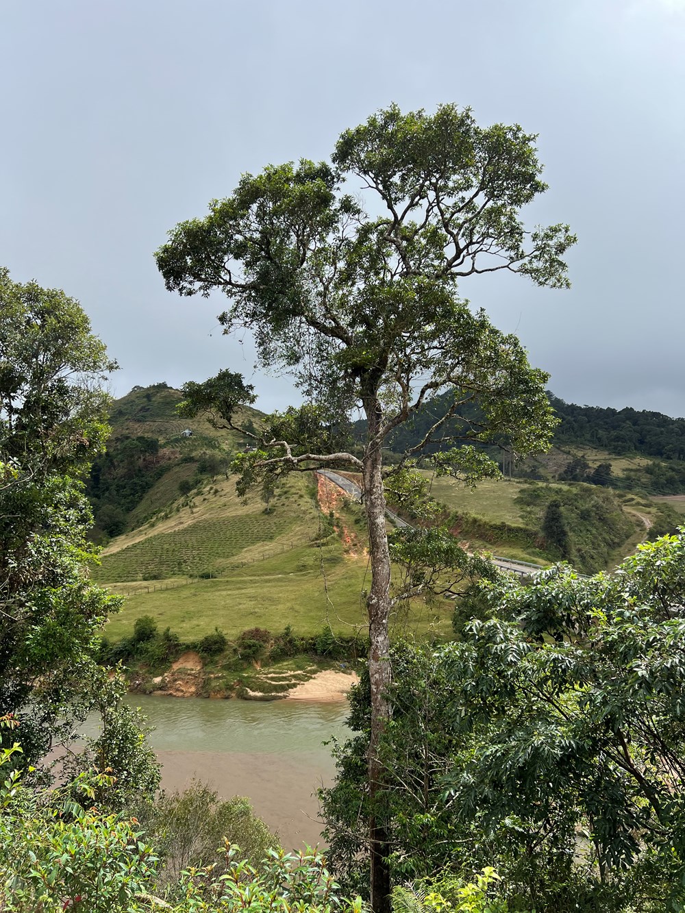 Chợ đêm Măng Đen - điểm nhấn du lịch đầu năm mới - ảnh 10