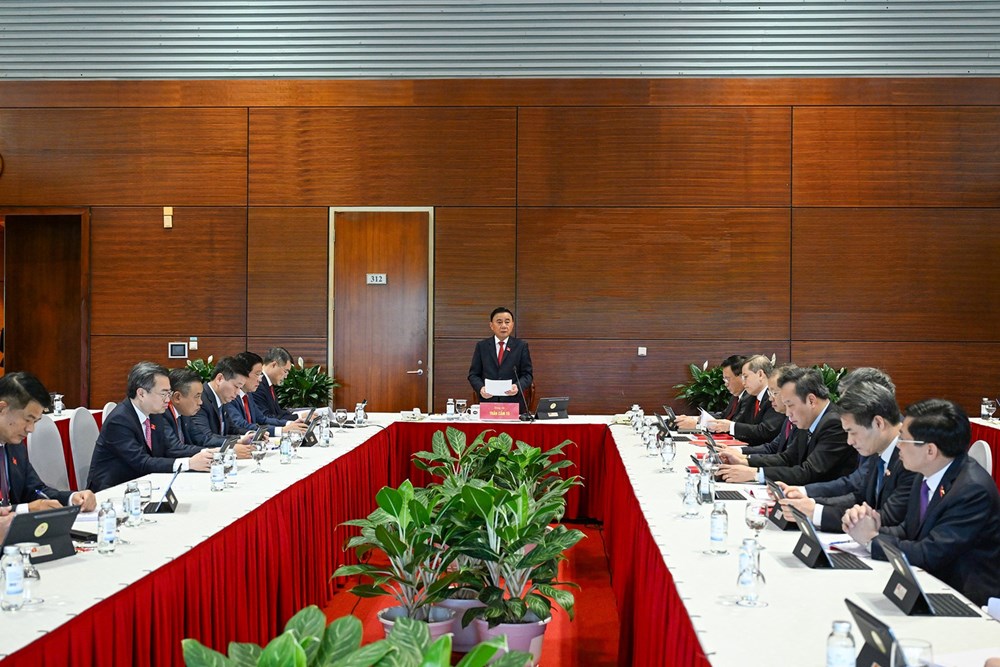 Phát huy cao độ trách nhiệm, trí tuệ và tâm huyết thảo luận Văn kiện, góp phần quan trọng vào thành công của Đại hội - ảnh 2