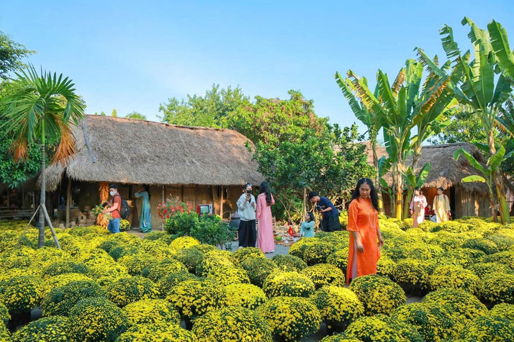 Xuân này sống xanh: Từ lựa chọn nhỏ đến thay đổi lớn - ảnh 1