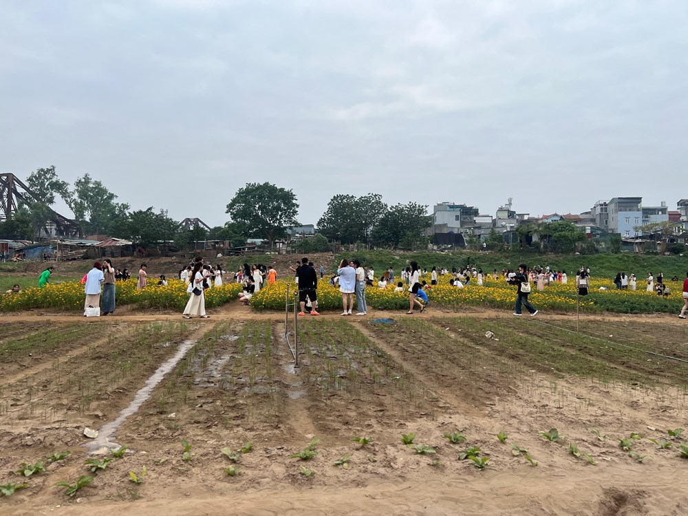 Đại lộ sông Hồng: Giữ “hồn” Thăng Long hay chỉ thêm một tuyến đường? - ảnh 3