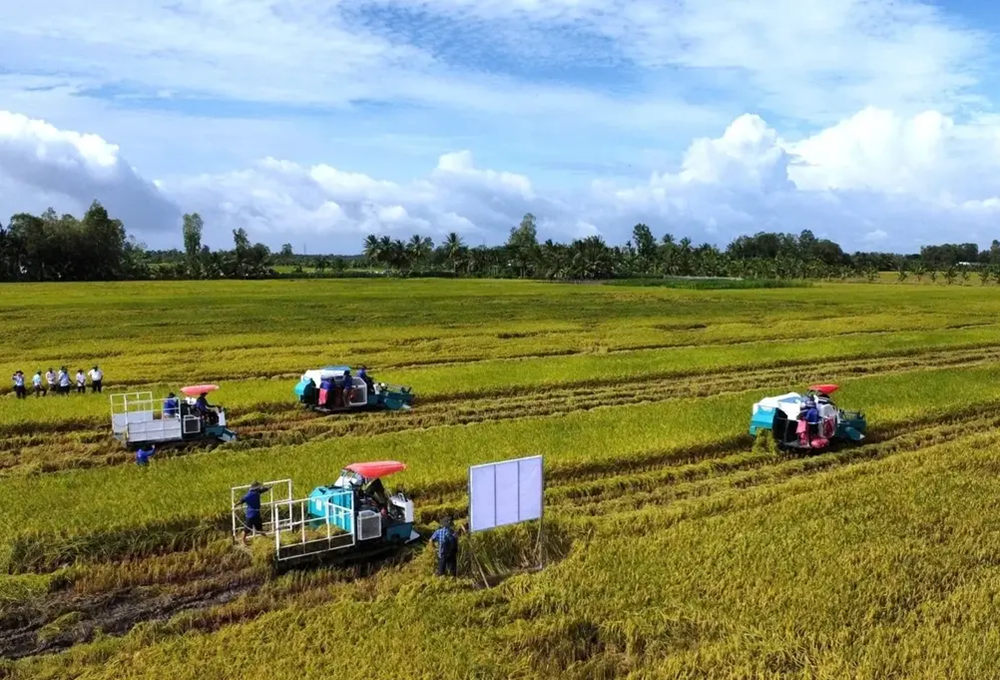 Doanh nghiệp, hiệp hội chung tay giữ nhịp sản xuất nông nghiệp - ảnh 2