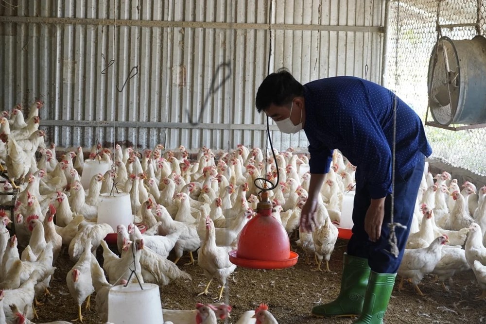 Doanh nghiệp, hiệp hội chung tay giữ nhịp sản xuất nông nghiệp - ảnh 4