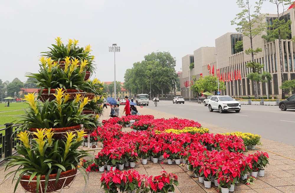 Quảng trường Ba Đình rực rỡ cờ hoa chào mừng ngày 30.4 và 1.5 - ảnh 7