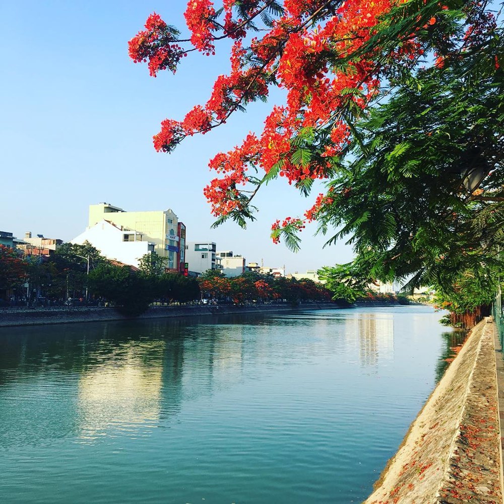 TP. Hải Phòng tiếp tục dẫn đầu toàn quốc về cải cách hành chính và chuyển đổi số - ảnh 2