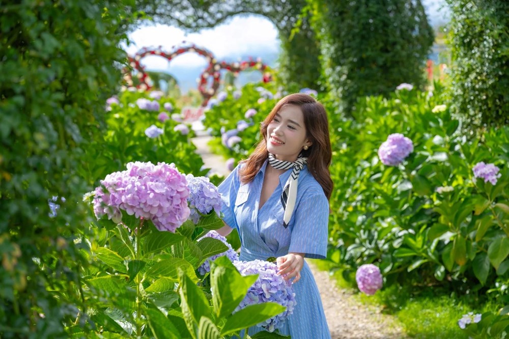 Lên Sa Pa trốn nóng, ngắm thung lũng hoa hồng và chạm đỉnh Fansipan - ảnh 2