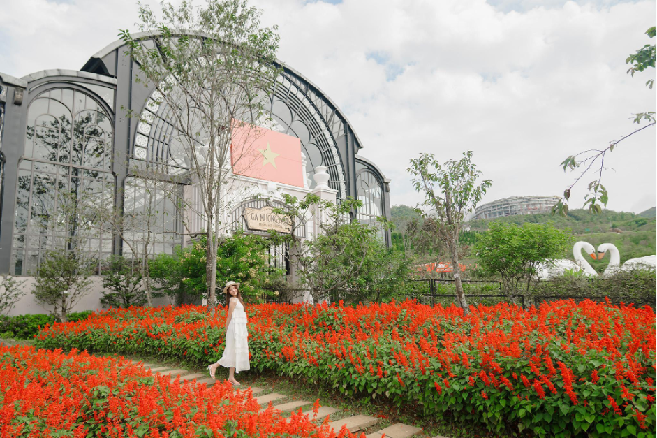 Fansipan rực rỡ mùa hoa xác pháo - ảnh 3