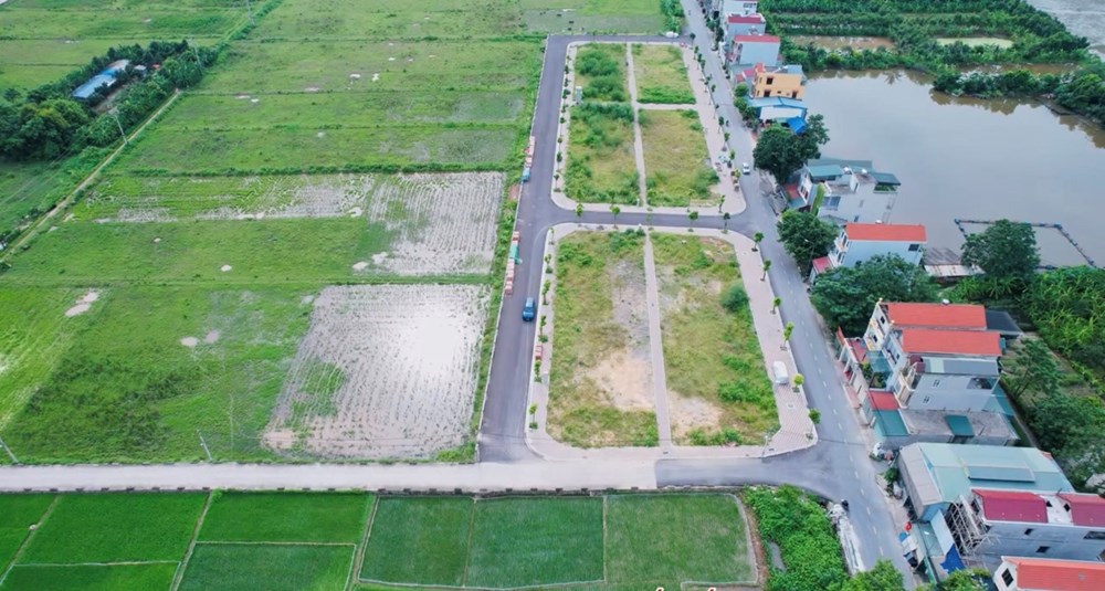 Trúng đấu giá đất nhưng thực địa không khớp hồ sơ, người mua phải làm gì? - ảnh 1