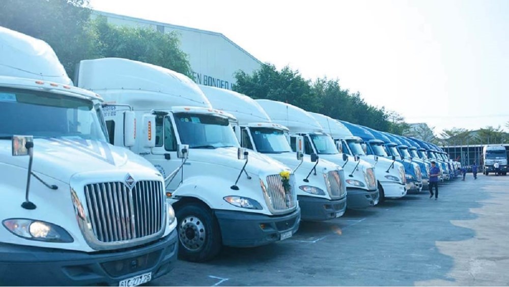 Có hơn 421.000 bằng D, CE, vì sao doanh nghiệp vẫn thiếu tài xế?  - ảnh 1