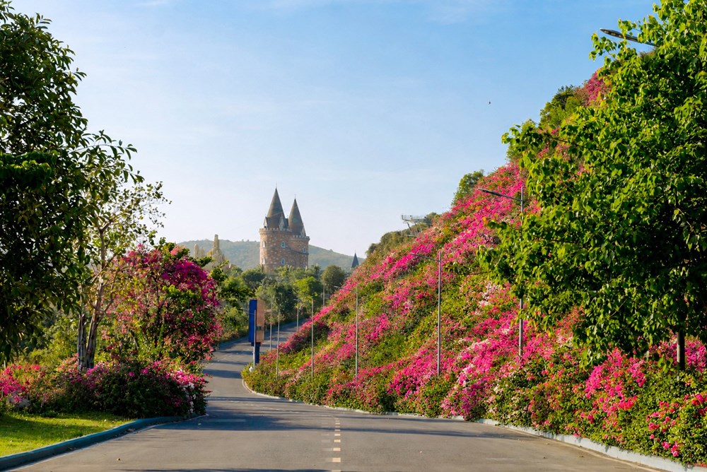 Hòn Tre: Từ một hòn đảo hoang sơ giữa vịnh Nha Trang đến “đảo diệu kỳ” của hàng triệu du khách - ảnh 2